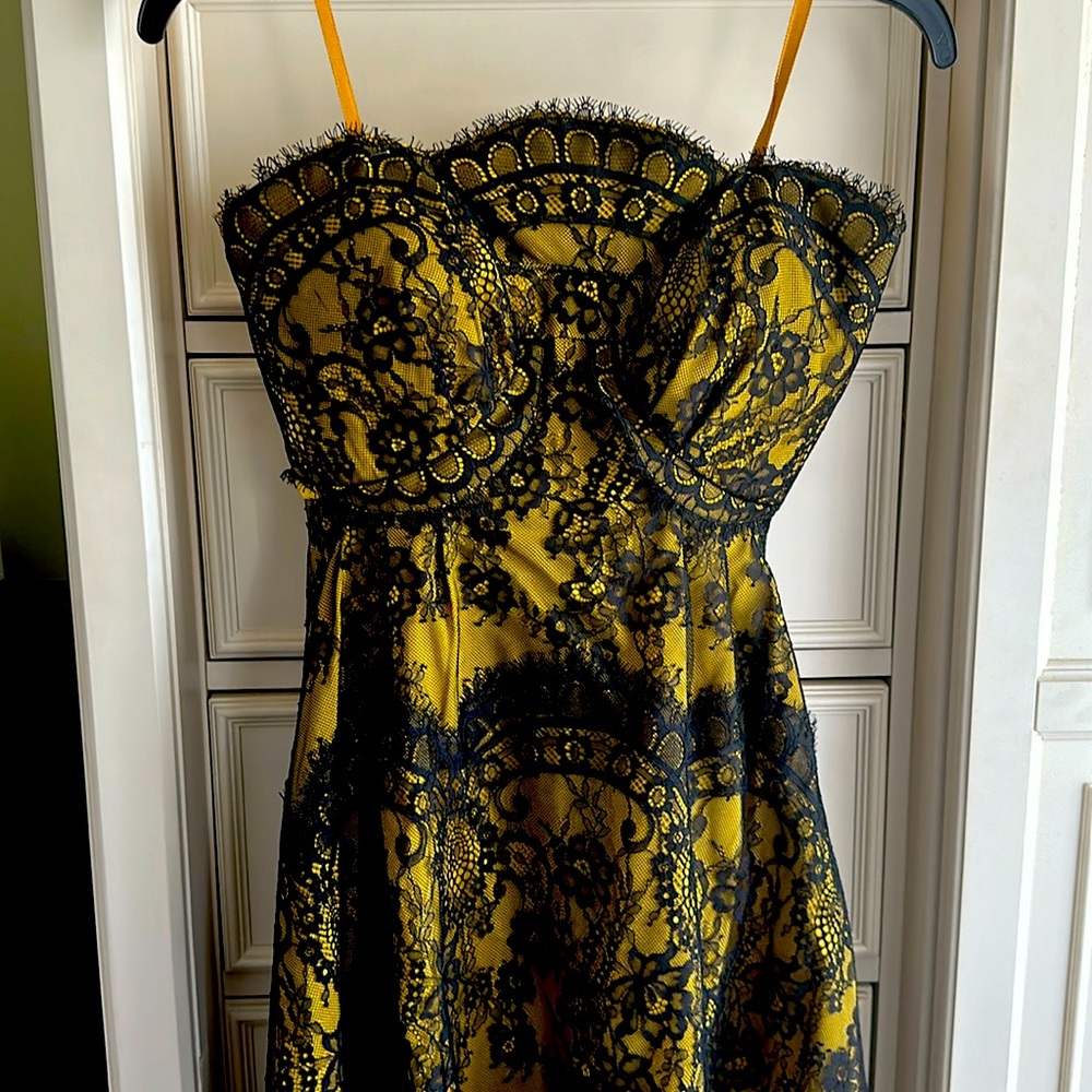 Bhldn black chantilly lace overlay strapless midi dress with gold fabric lining